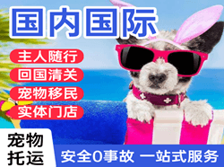 上海航空空运国际宠物托运 【国